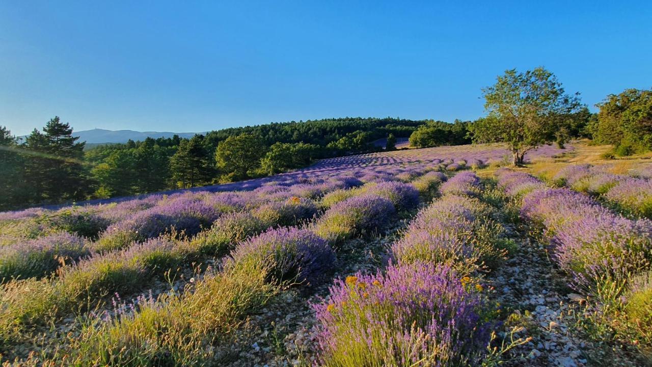 Guest house A Ventoux Yourte Monieux