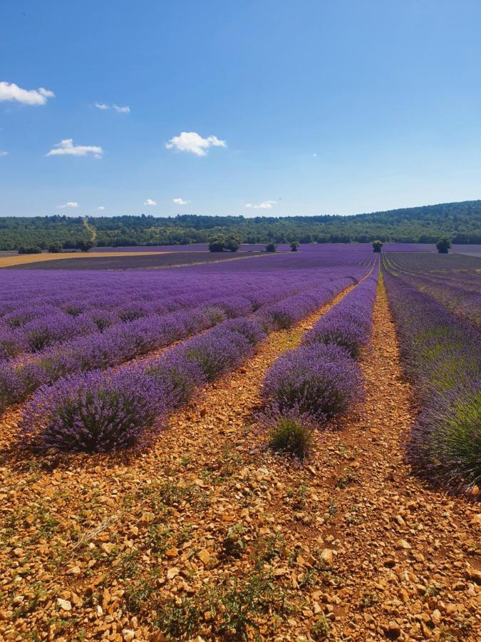 A Ventoux Yourte Monieux