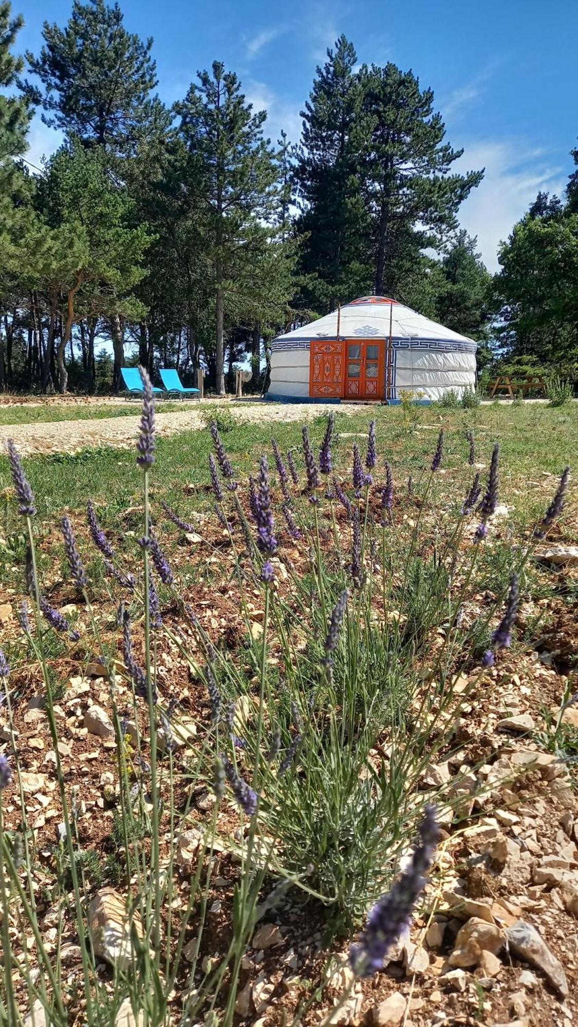 Guest house A Ventoux Yourte Monieux