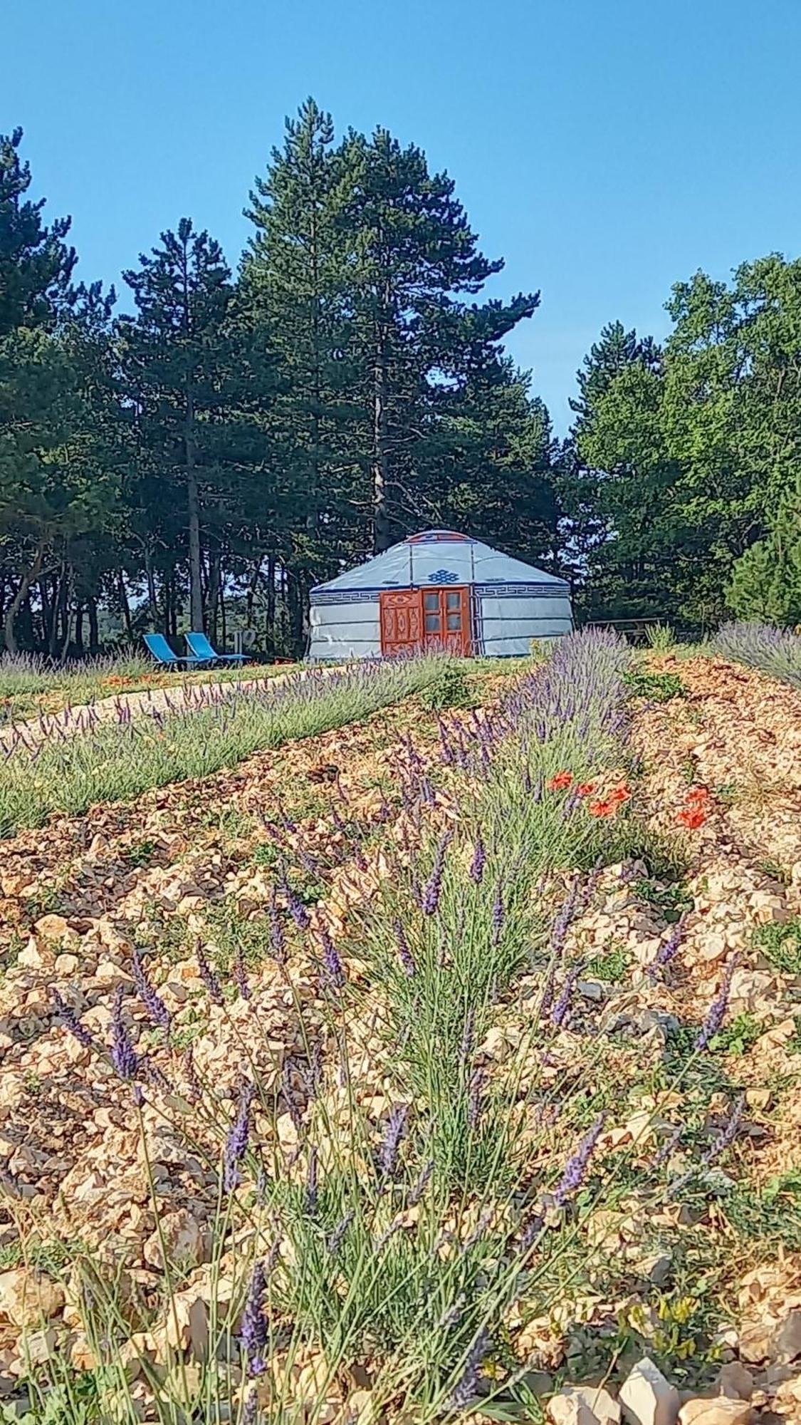 Gasthof A Ventoux Yourte