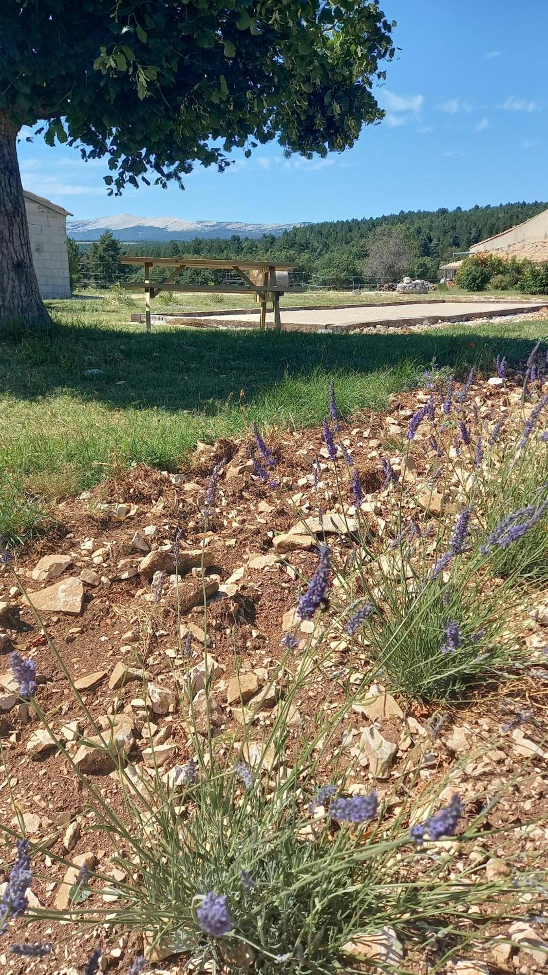 A Ventoux Yourte Gasthof *