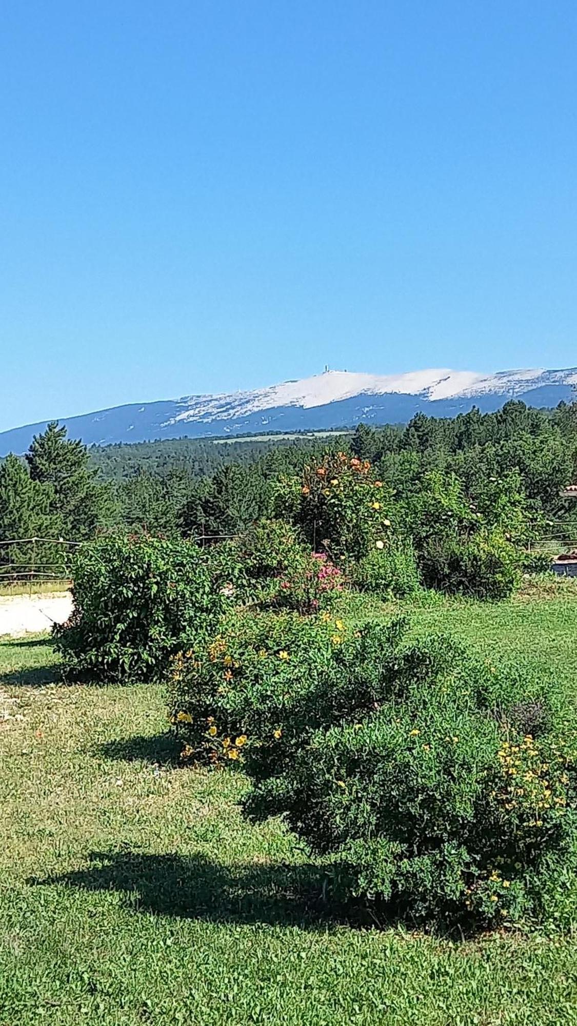 A Ventoux Yourte * Monieux